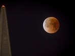A Blue Moon is a term used for the celestial event when we see the full Moon twice in a month.