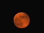 Blue Moons are of two types - monthly and seasonal. The upcoming Super Blue Moon is a monthly blue Moon. 