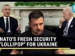 NATO'S FRESH SECURITY "LOLLIPOP" FOR UKRAINE NATO'S FRESH SECURITY "LOLLIPOP" FOR UKRAINE