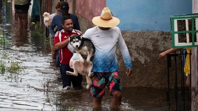 A man carries a dog while walking through a flooded street in Batabano, Mayabeque province, Cuba on August 29, 2023, during the passage of tropical storm Idalia. Tropical Storm Idalia strengthened into a hurricane this Tuesday and forecasters are forecasting it to become "extremely dangerous" before making landfall on Wednesday in Florida, US. (AFP) A man carries a dog while walking through a flooded street in Batabano, Mayabeque province, Cuba on August 29, 2023, during the passage of tropical storm Idalia. Tropical Storm Idalia strengthened into a hurricane this Tuesday and forecasters are forecasting it to become "extremely dangerous" before making landfall on Wednesday in Florida, US. (AFP)