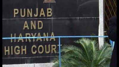 Court stated that allegations against the Chandigarh Police and the chief judicial magistrate were baseless. (HT FILE) Court stated that allegations against the Chandigarh Police and the chief judicial magistrate were baseless. (HT FILE)