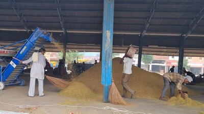 India’s exports make up more than 40% of global rice shipments. (HT Photo)