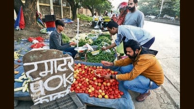 People Buying Tomato at Sinhagad Road market in Pune on Tuesday. (RAHUL RAUT/ HT PHOTO) People Buying Tomato at Sinhagad Road market in Pune on Tuesday. (RAHUL RAUT/ HT PHOTO)