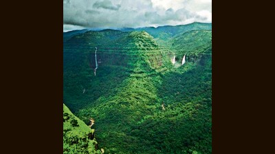 The rising temperature trend in the Western Ghats may have a positive impact on vegetation in the region. (HT PHOTO) The rising temperature trend in the Western Ghats may have a positive impact on vegetation in the region. (HT PHOTO)