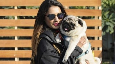 Pet owners have to visit the Uthalsar civic office and submit the necessary documents with a one-time registration fee of ₹2,000 after which they have to pay ₹400 every year (HT Photo) Pet owners have to visit the Uthalsar civic office and submit the necessary documents with a one-time registration fee of ₹2,000 after which they have to pay ₹400 every year (HT Photo)
