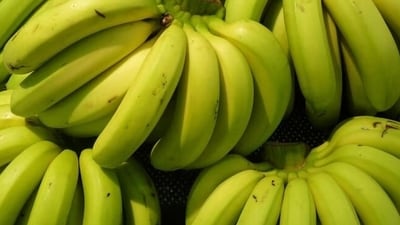 1. Banana: Rich in vitamin B6, banana can help alleviate mood swings and reduce bloating. They also provide a quick source of energy and help regulate bowel movements. (Freepik) 1. Banana: Rich in vitamin B6, banana can help alleviate mood swings and reduce bloating. They also provide a quick source of energy and help regulate bowel movements. (Freepik)