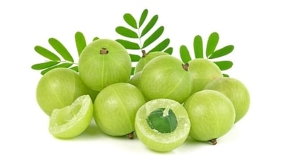 6. Amla (Indian Gooseberry): Rich in vitamin C, which can help boost your immune system and improve iron absorption from plant-based sources. (Unsplash) 6. Amla (Indian Gooseberry): Rich in vitamin C, which can help boost your immune system and improve iron absorption from plant-based sources. (Unsplash)