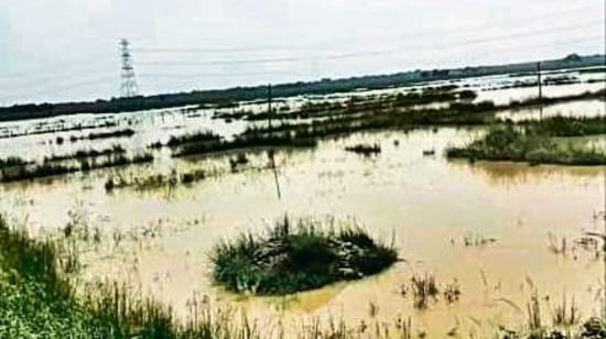 Land earmarked for the construction of AIIMS Darbhanga has been caught in an eight-year battle between the state and Centre. (HT Photo)