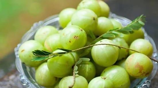 Amla: The citrus fruit is also recommended by Ayurveda for overall health benefits. It is also considered an anti-diabetic food as it improves blood sugar level, metabolism and is known to prevent toxic accumulation.(Pinterest)