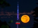 The August Super Blue Moon sets behind the CN tower in Toronto.
