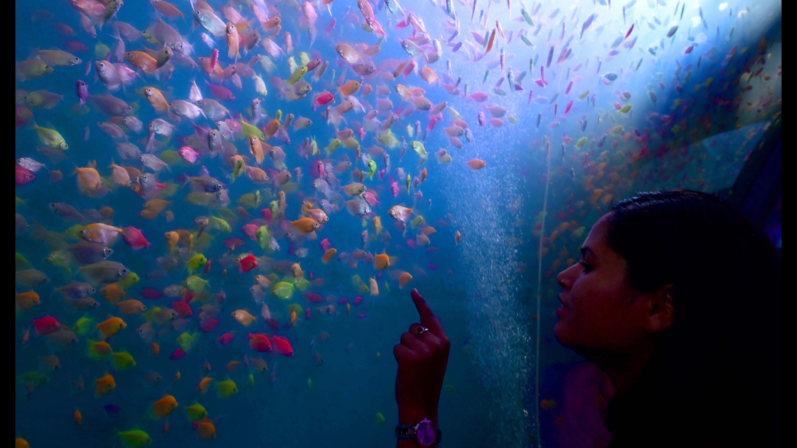 Tunnelling through modern aquatic marvels - Vimarsana News