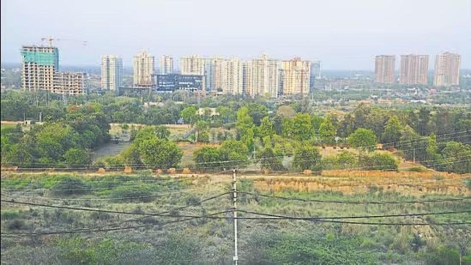 Haryana assembly committee recommends probe into grant of forest NOC to developer - Vimarsana News