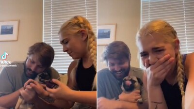 The image shows a woman trying to clip a dog’s nails. (Reddit/@Bihema) The image shows a woman trying to clip a dog’s nails. (Reddit/@Bihema)