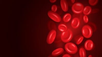 Dengue fever, a viral illness transmitted by mosquitoes, can lead to a critical drop in platelet count—a condition known as thrombocytopenia (Freepik) Dengue fever, a viral illness transmitted by mosquitoes, can lead to a critical drop in platelet count—a condition known as thrombocytopenia (Freepik)