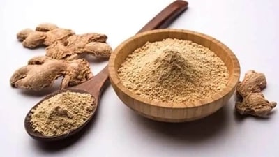 Ayurvedically dry ginger is considered better than fresh ginger. Dry ginger is better for gas, bloating compared to fresh ginger (Shutterstock) Ayurvedically dry ginger is considered better than fresh ginger. Dry ginger is better for gas, bloating compared to fresh ginger (Shutterstock)