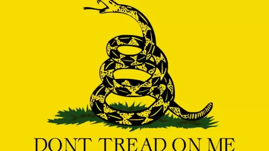 The Colorado school student was wearing this "Gadsden flag" patch on his backpack. (X(formerly Twitter)/@Heritage)