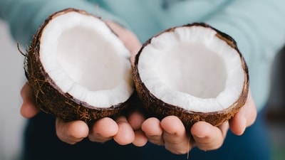 World Coconut Day 2023: Date, history, significance, amazing benefits of coconut (Shutterstock) World Coconut Day 2023: Date, history, significance, amazing benefits of coconut (Shutterstock)