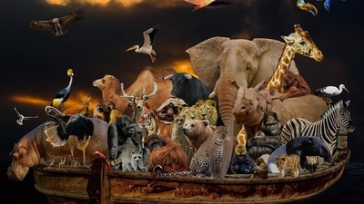 Unlike Noah, contemporary conservationists face constraints (Pixabay) Unlike Noah, contemporary conservationists face constraints (Pixabay)