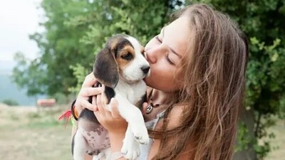 Pets provide happiness, companionship and comfort. Especially for people dealing with PTSD, depression and anxiety, pets can be a great way of dealing with triggers. Pets provide happiness, companionship and comfort. Especially for people dealing with PTSD, depression and anxiety, pets can be a great way of dealing with triggers. 