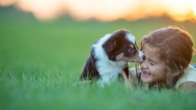 When we interact with our pets, there is an increase in activity in the prefrontal cortex of the brain – this further makes us feel calm and relaxed. When we interact with our pets, there is an increase in activity in the prefrontal cortex of the brain – this further makes us feel calm and relaxed. 