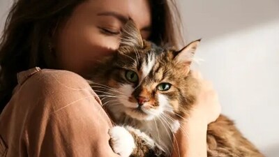 Petting and interacting with pets increases the release of oxytocin in the brain, giving us the feeling of relaxation and well-being. (Unsplash) Petting and interacting with pets increases the release of oxytocin in the brain, giving us the feeling of relaxation and well-being. (Unsplash)