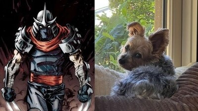 Shredder from TMNT and Klein's best friend of Ethan Klein Shredder from TMNT and Klein's best friend of Ethan Klein