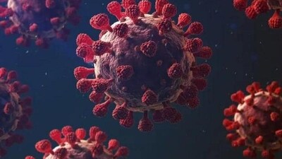 Pirola or BA2.86 is one of the lineages of Omicron variant of Covid-19 virus.(Representative Image) 
