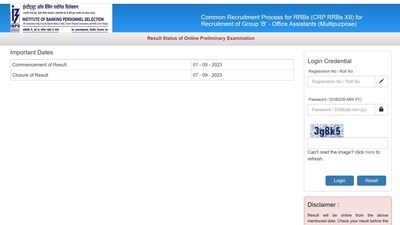 IBPS RRB Office Assistant results 2023 declared, here's how to check scores IBPS RRB Office Assistant results 2023 declared, here's how to check scores