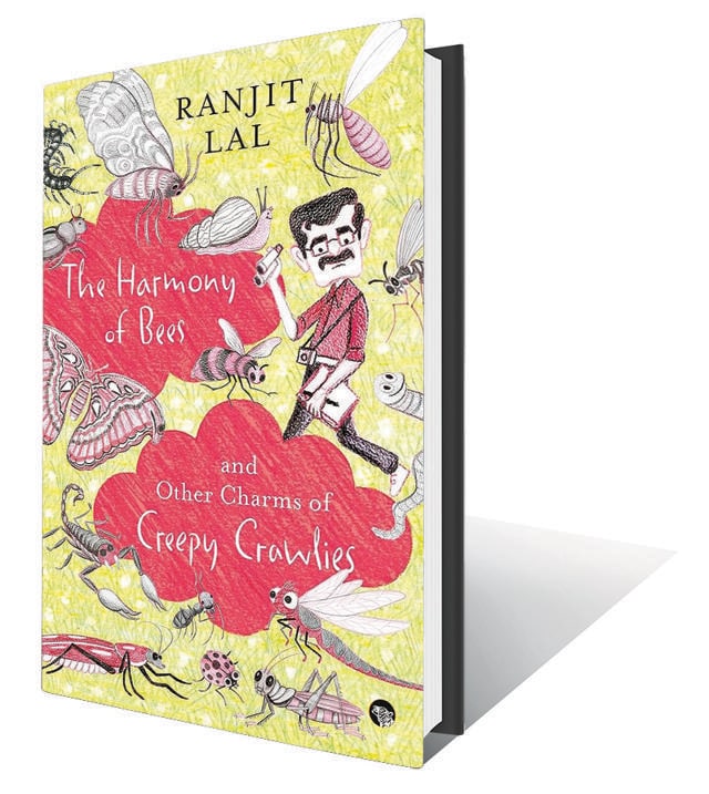 224pp, ₹399; Speaking Tiger (An entertaining and informative book about creepy crawlies.) 224pp, ₹399; Speaking Tiger (An entertaining and informative book about creepy crawlies.)