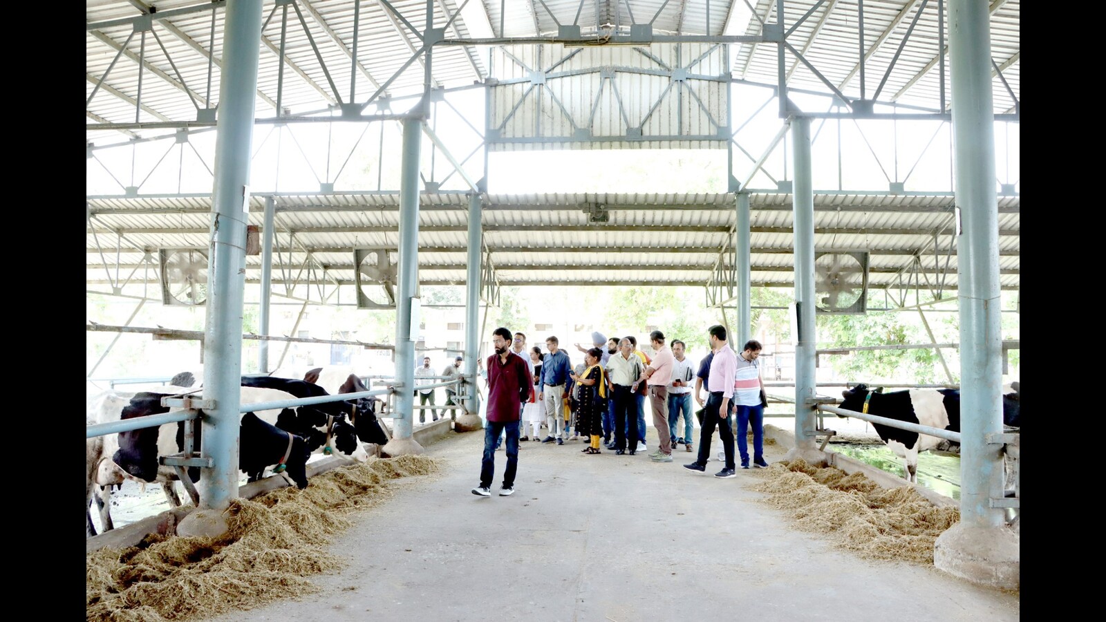 Ludhiana: On-farm exposure-cum-demo visit gives insights into precision livestock farming - Vimarsana News