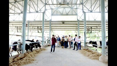 Participants at the Directorate of Livestock Farms, Guru Angad Dev Veterinary & Animal Sciences University in Ludhiana on Saturday. (HT Photo) Participants at the Directorate of Livestock Farms, Guru Angad Dev Veterinary & Animal Sciences University in Ludhiana on Saturday. (HT Photo)