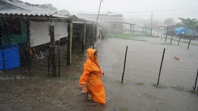 A woman walks on a flooded street as Storm Idalia makes landfall (Reuters)