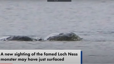 YouTube ScreenGrab (The New York Post) YouTube ScreenGrab (The New York Post)