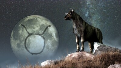 Weekly Horoscope Taurus, September 3-9, 2023: As the week gets underway, Taurus will feel a surge of bullish energy propelling them forward. (shutterstock)