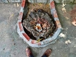 Delhiwale: An unusual tomb