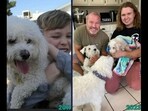 Dog reunites with his pet parent after 12 years. Dog reunites with his pet parent after 12 years.