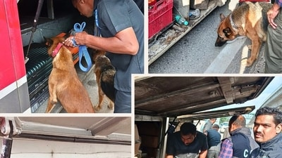 Bengaluru police conduct searches on inter state buses with sniffer dogs . Watch Bengaluru police conduct searches on inter state buses with sniffer dogs . Watch