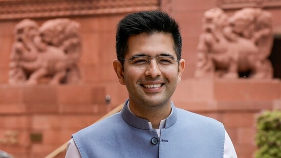 AAP Rajya Sabha MP Raghav Chadha. (PTI)