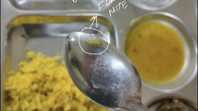 NIFT students post images of insects found in hostel food NIFT students post images of insects found in hostel food