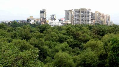 Navi Mumbai, India - Aug. 3, 2022: 10 hectare of mangroves not notified at Seawoods in Navi Mumbai, India, on Wednesday, August 3, 2022. (Photo by Bachchan Kumar/ HT PHOTO) (HT PHOTO) Navi Mumbai, India - Aug. 3, 2022: 10 hectare of mangroves not notified at Seawoods in Navi Mumbai, India, on Wednesday, August 3, 2022. (Photo by Bachchan Kumar/ HT PHOTO) (HT PHOTO)