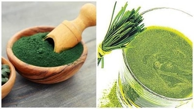 Wheatgrass: It is a strong intoxicant which helps relieving tooth pain, and fights tooth decay. Chew on a few strands of wheatgrass on the side of the affected area. (Shutterstock)