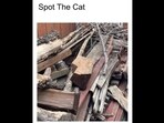 Optical Illusion: Can you spot a cat in this seek-and-find image?