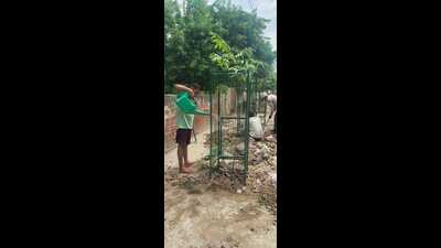 A group member watering a sapling. (HT)