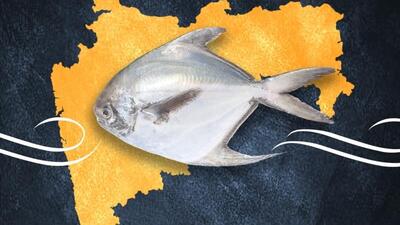 Minister Sudhir Mungantiwar during a national conference on the Kisan Credit Card on Monday declared silver pomfret the ‘state fish’ of Maharashtra. ((PIC FOR REPRESENTATION)) Minister Sudhir Mungantiwar during a national conference on the Kisan Credit Card on Monday declared silver pomfret the ‘state fish’ of Maharashtra. ((PIC FOR REPRESENTATION))