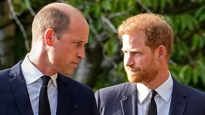 Princes William and Prince Harry (AFP) Princes William and Prince Harry (AFP)