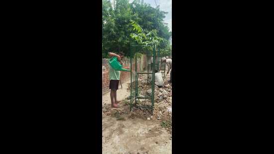 A group member watering a sapling. (HT)
