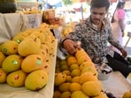 Bengaluru airport observes 124 per cent raise of mango exports in 2023. 