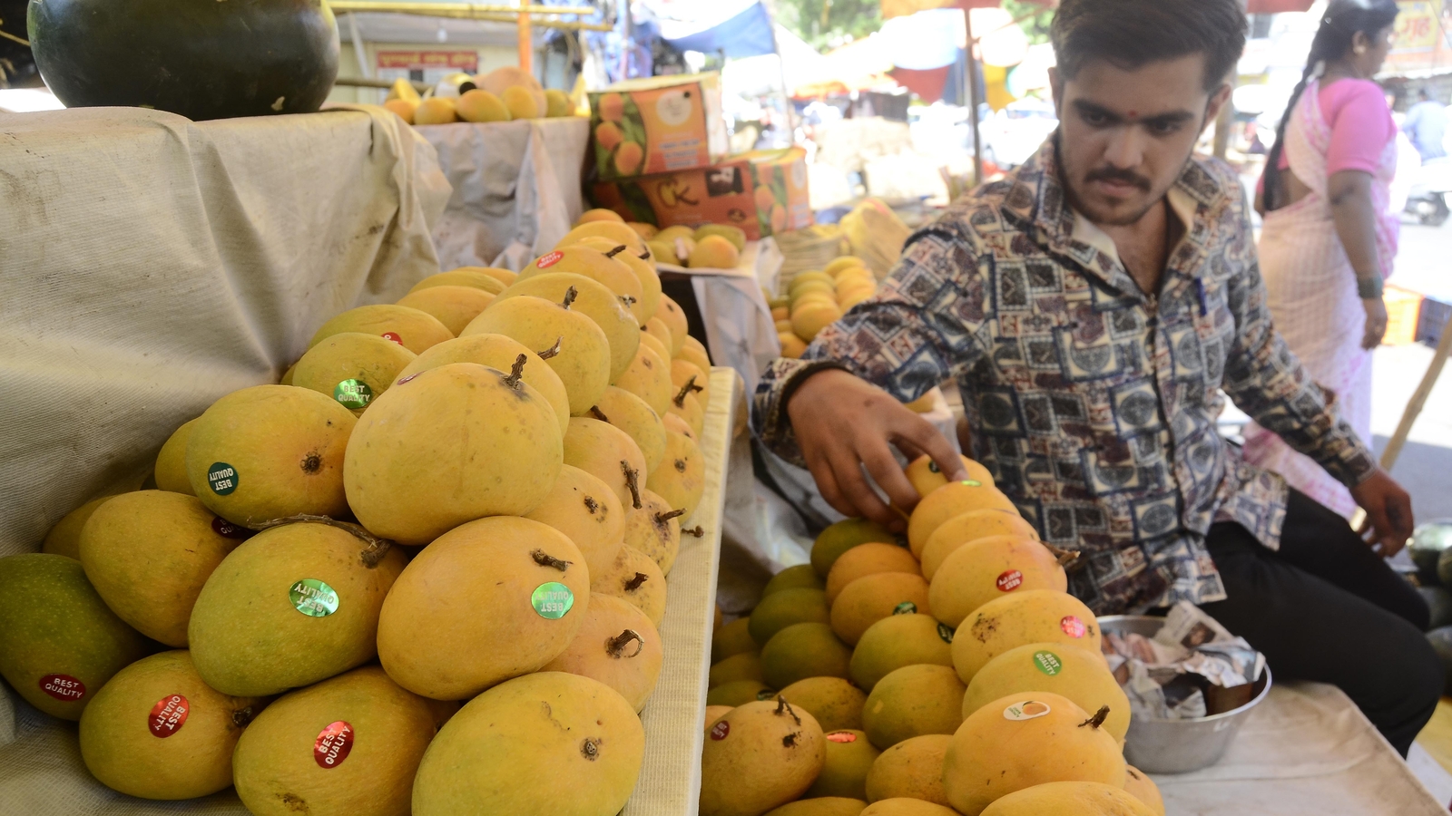 Bengaluru airport observes 124 per cent raise of mango exports in 2023 - Vimarsana News
