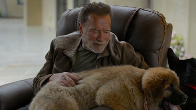 Arnold Schwarzenegger has spoken up about his terrifying experience on the operating table, where he faced a near-death situation during an open heart surgery (Netflix) Arnold Schwarzenegger has spoken up about his terrifying experience on the operating table, where he faced a near-death situation during an open heart surgery (Netflix)