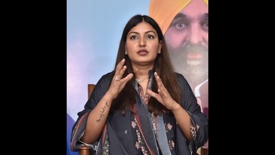 Punjab tourism minister Anmol Gagan Maan (File)